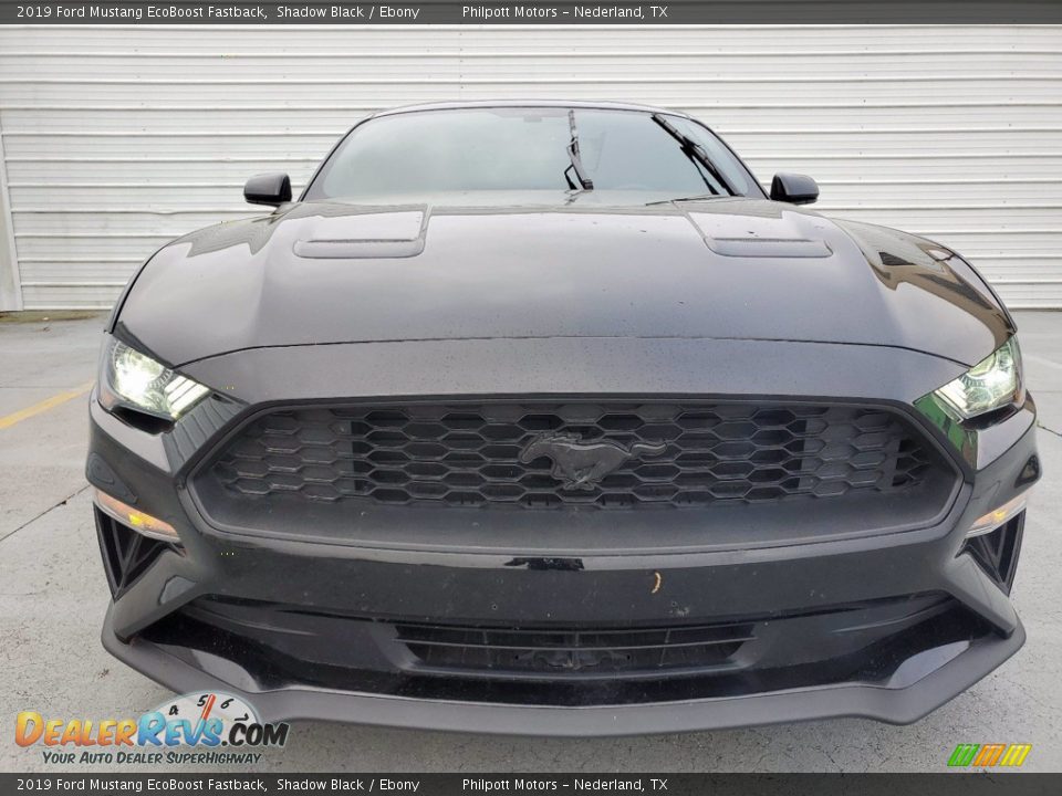 2019 Ford Mustang EcoBoost Fastback Shadow Black / Ebony Photo #8