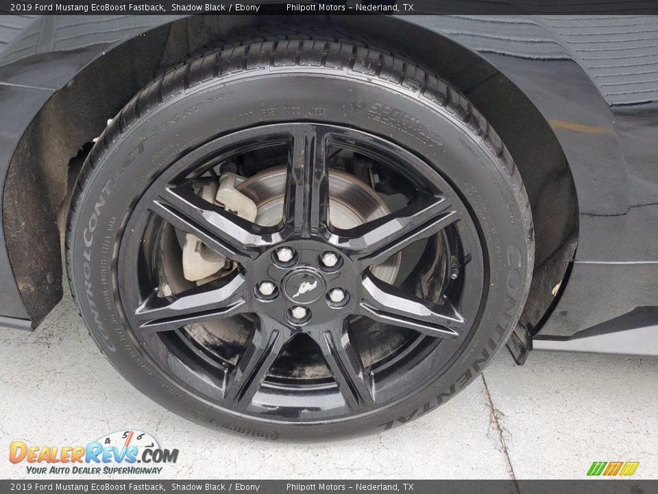 2019 Ford Mustang EcoBoost Fastback Shadow Black / Ebony Photo #24