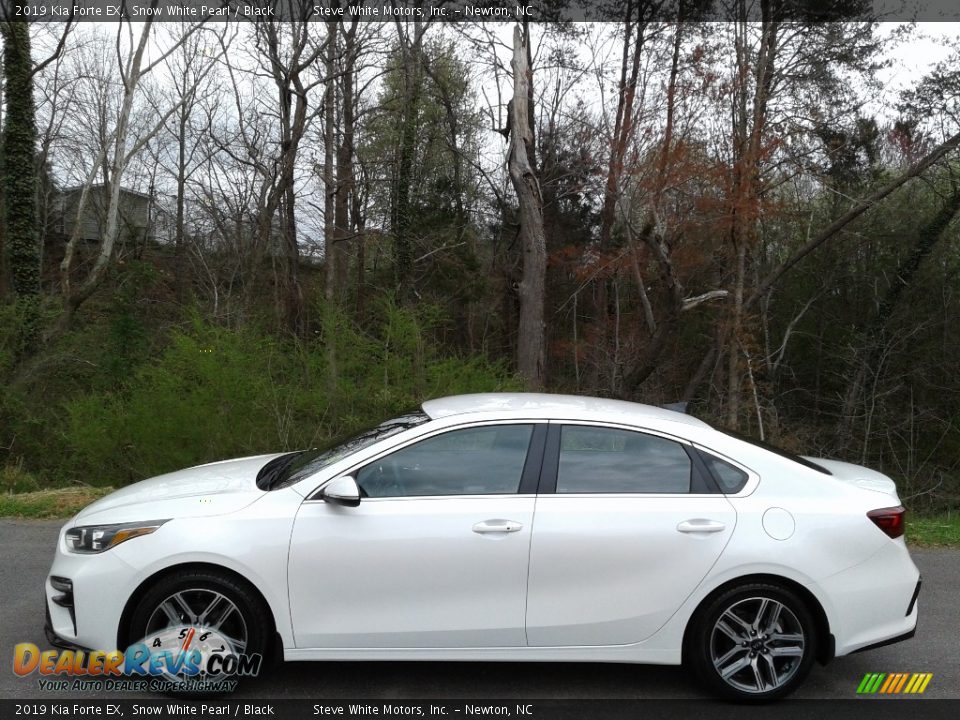 Snow White Pearl 2019 Kia Forte EX Photo #1