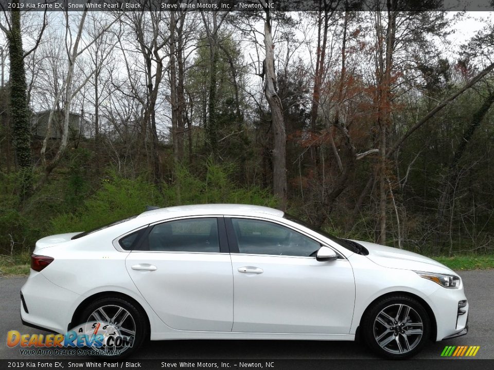 Snow White Pearl 2019 Kia Forte EX Photo #5