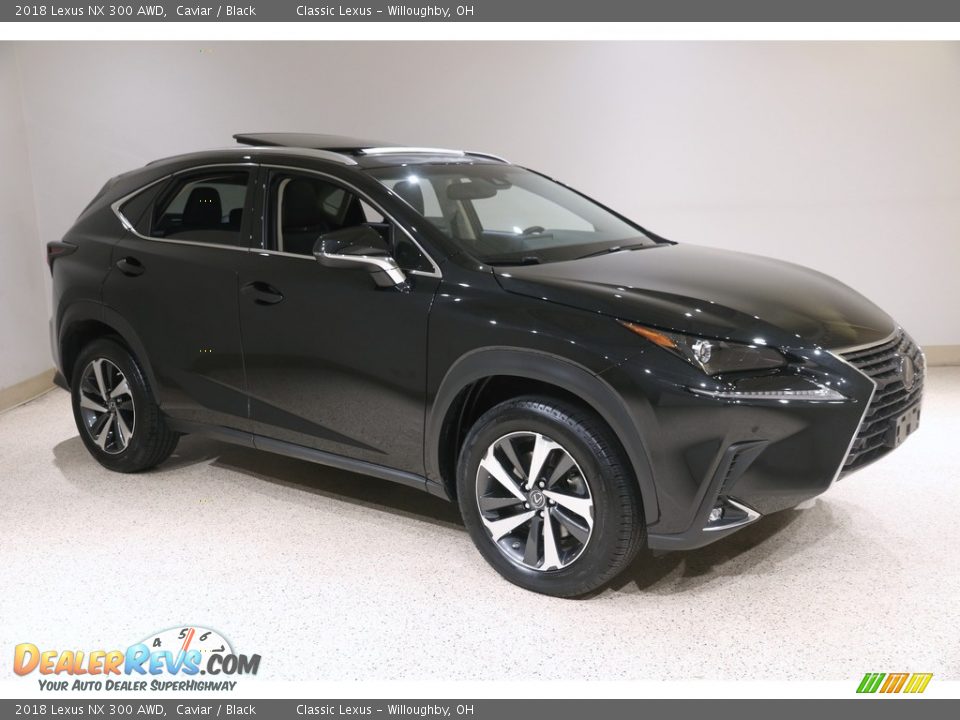 2018 Lexus NX 300 AWD Caviar / Black Photo #1