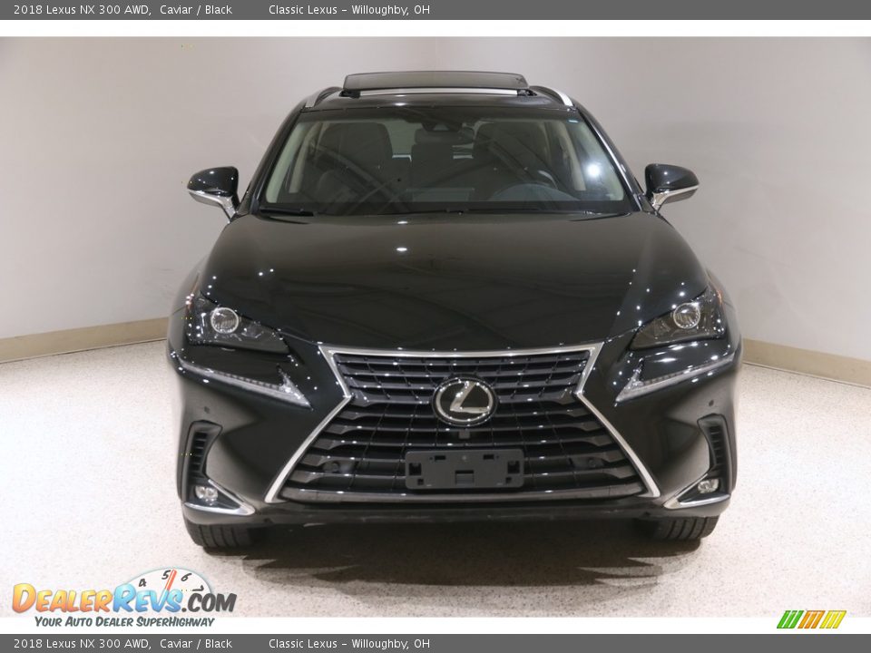 2018 Lexus NX 300 AWD Caviar / Black Photo #2