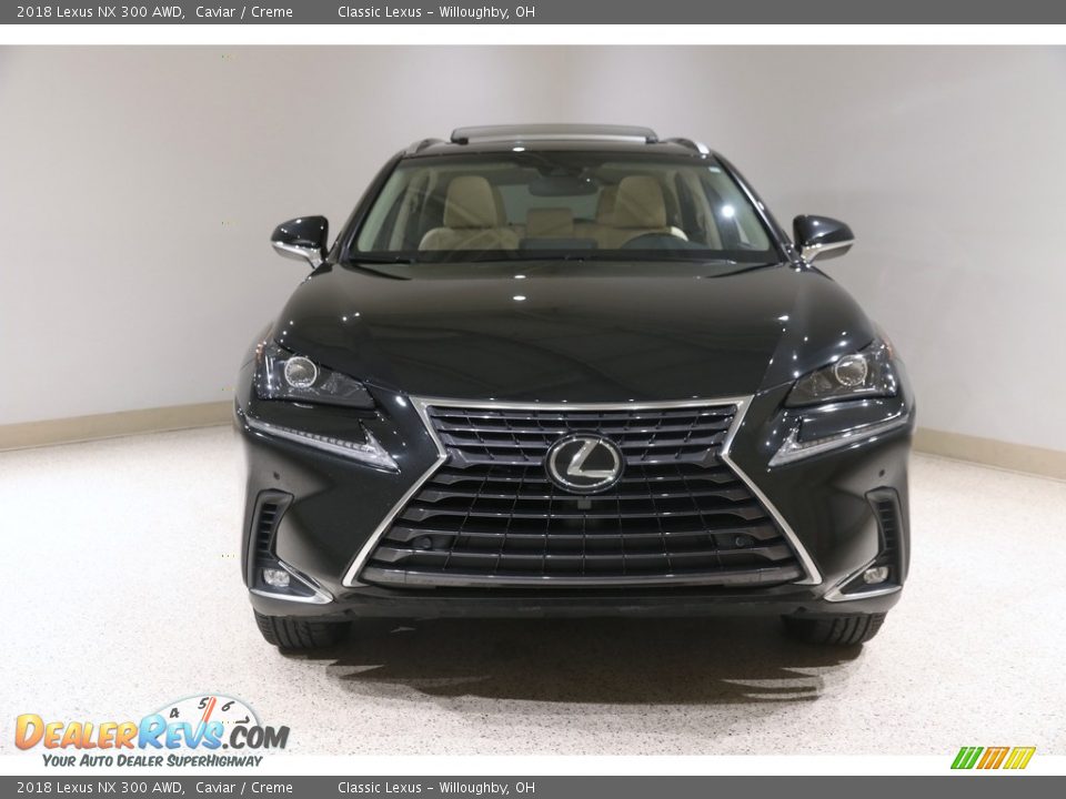 2018 Lexus NX 300 AWD Caviar / Creme Photo #2