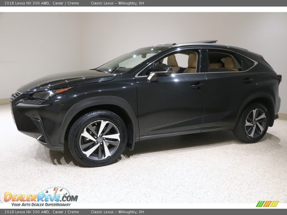 2018 Lexus NX 300 AWD Caviar / Creme Photo #3