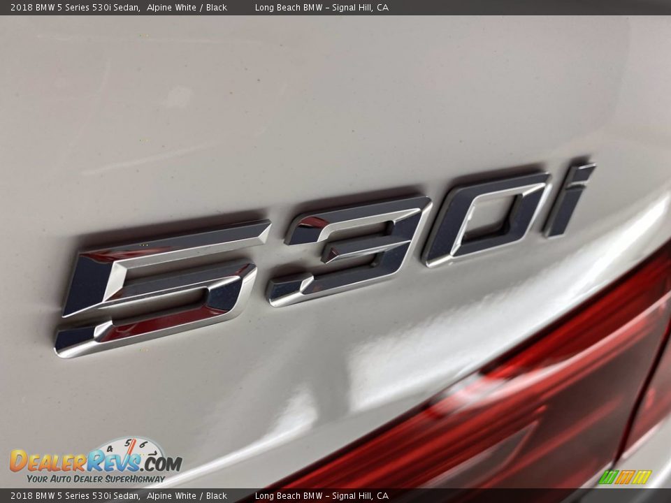2018 BMW 5 Series 530i Sedan Alpine White / Black Photo #11