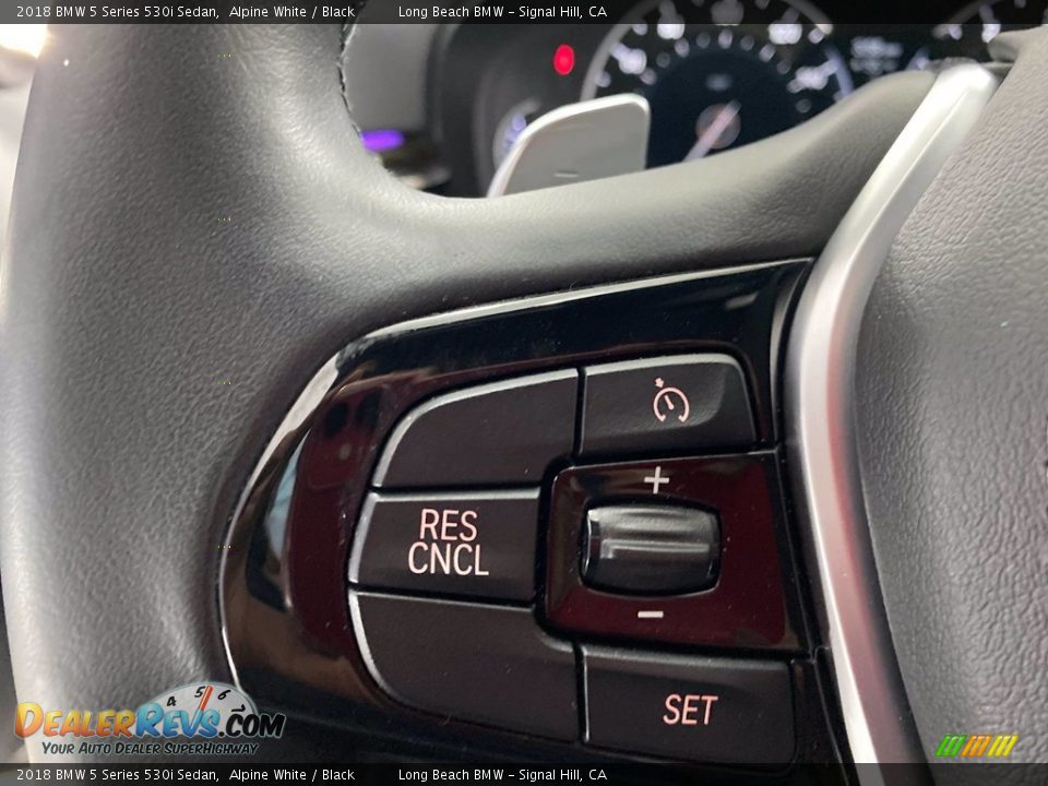 2018 BMW 5 Series 530i Sedan Alpine White / Black Photo #19