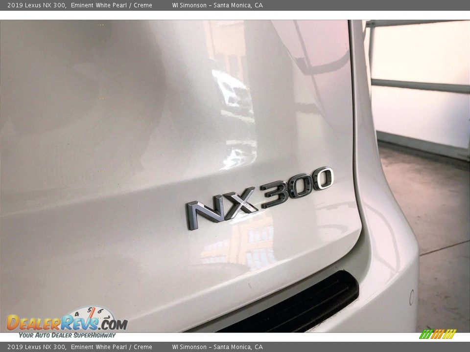 2019 Lexus NX 300 Logo Photo #7