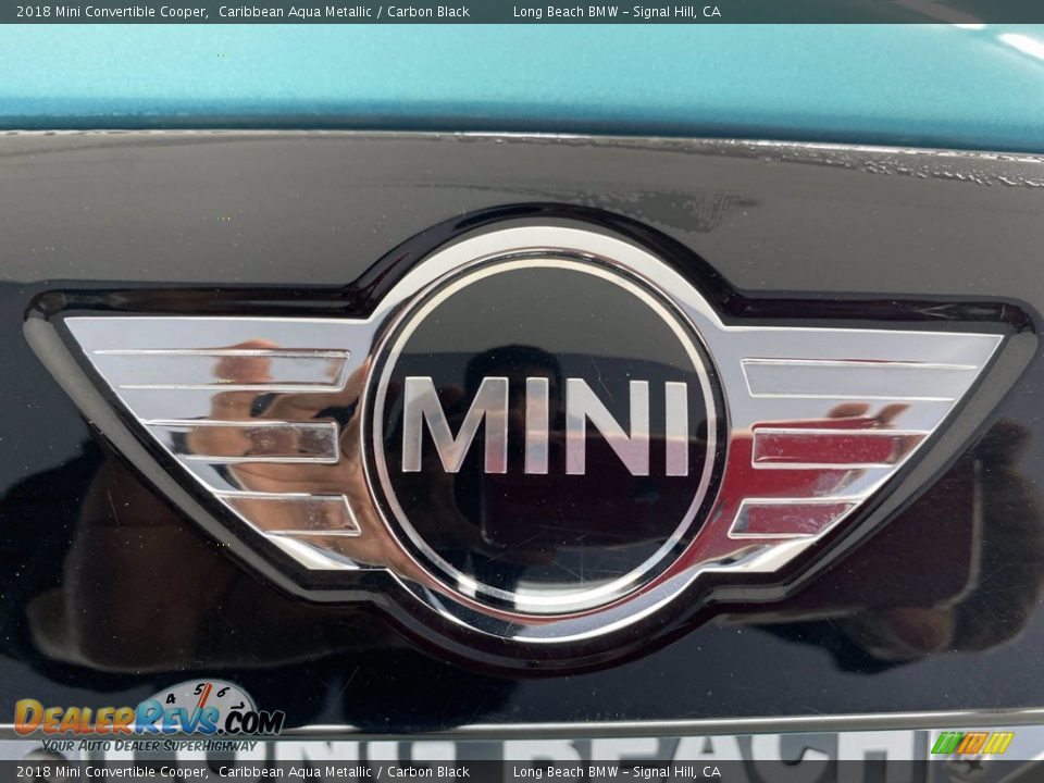 2018 Mini Convertible Cooper Caribbean Aqua Metallic / Carbon Black Photo #10