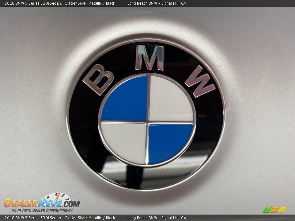 2018 BMW 5 Series 530i Sedan Glacier Silver Metallic / Black Photo #10
