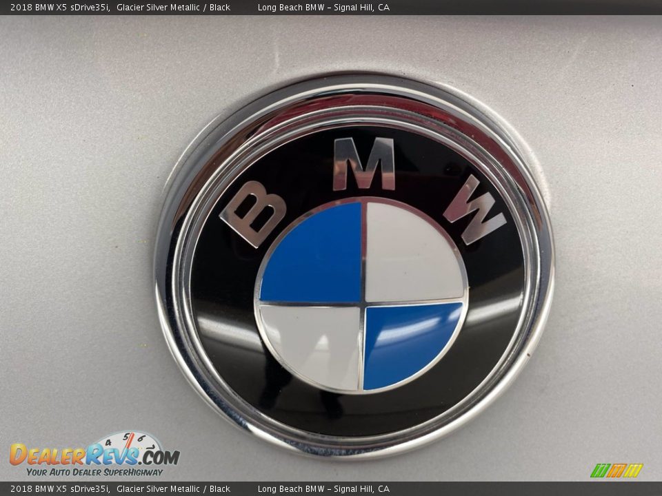 2018 BMW X5 sDrive35i Glacier Silver Metallic / Black Photo #10