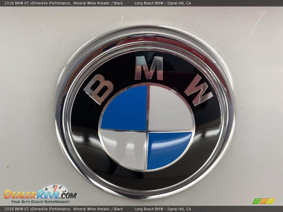 2018 BMW X5 xDrive40e iPerfomance Mineral White Metallic / Black Photo #10