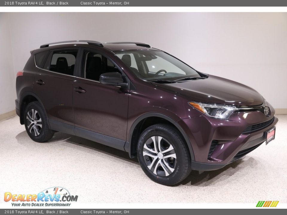 2018 Toyota RAV4 LE Black / Black Photo #1