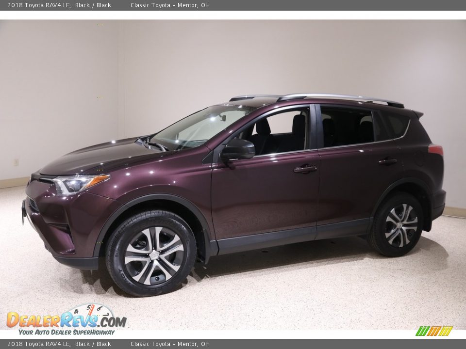 2018 Toyota RAV4 LE Black / Black Photo #3
