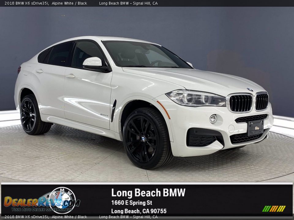 2018 BMW X6 sDrive35i Alpine White / Black Photo #1