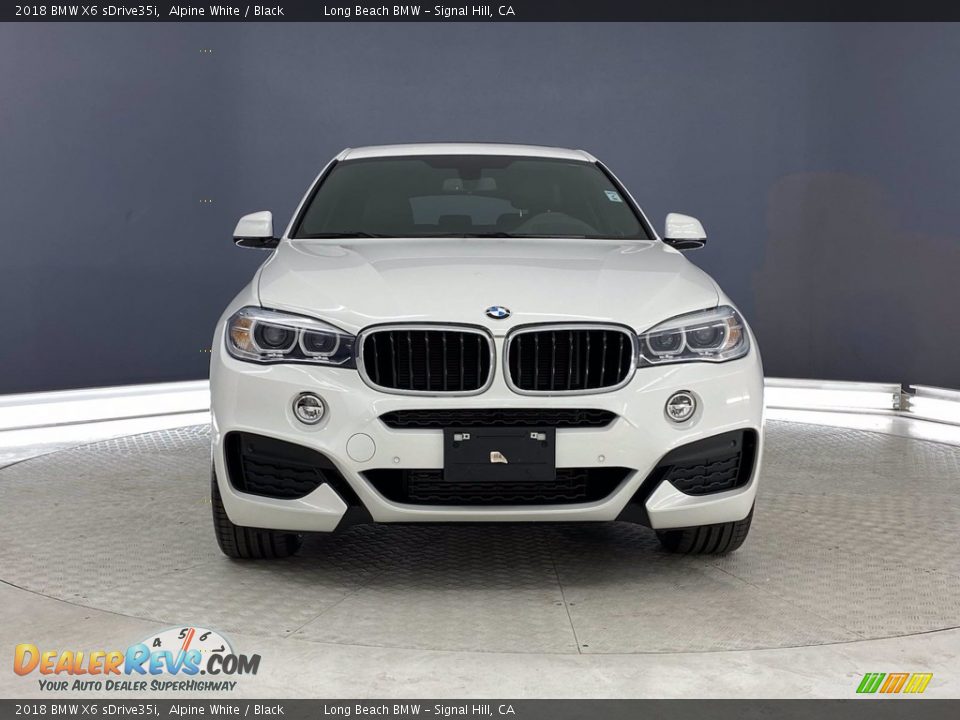 2018 BMW X6 sDrive35i Alpine White / Black Photo #2