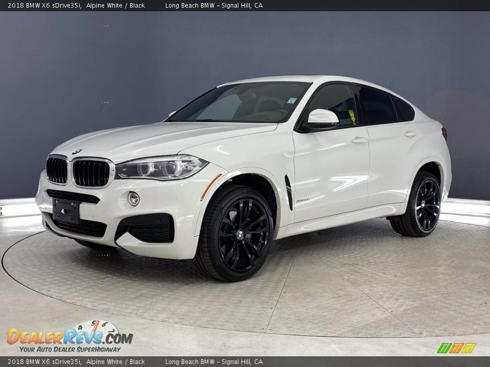 2018 BMW X6 sDrive35i Alpine White / Black Photo #3