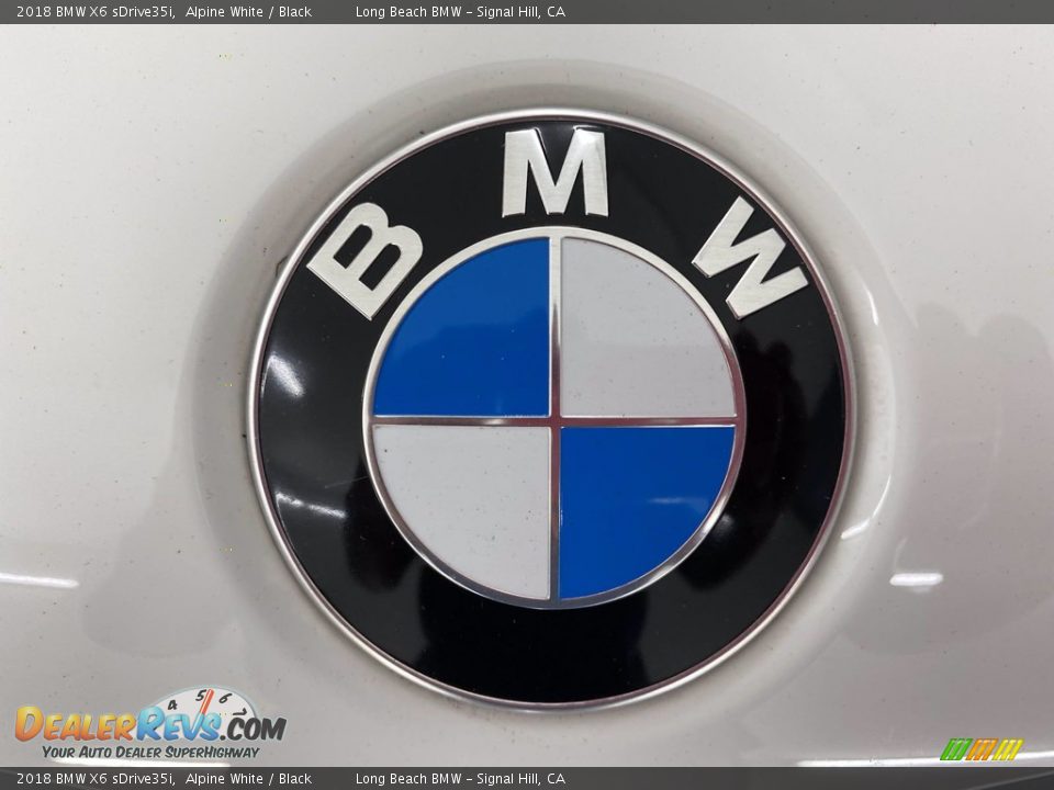 2018 BMW X6 sDrive35i Alpine White / Black Photo #8