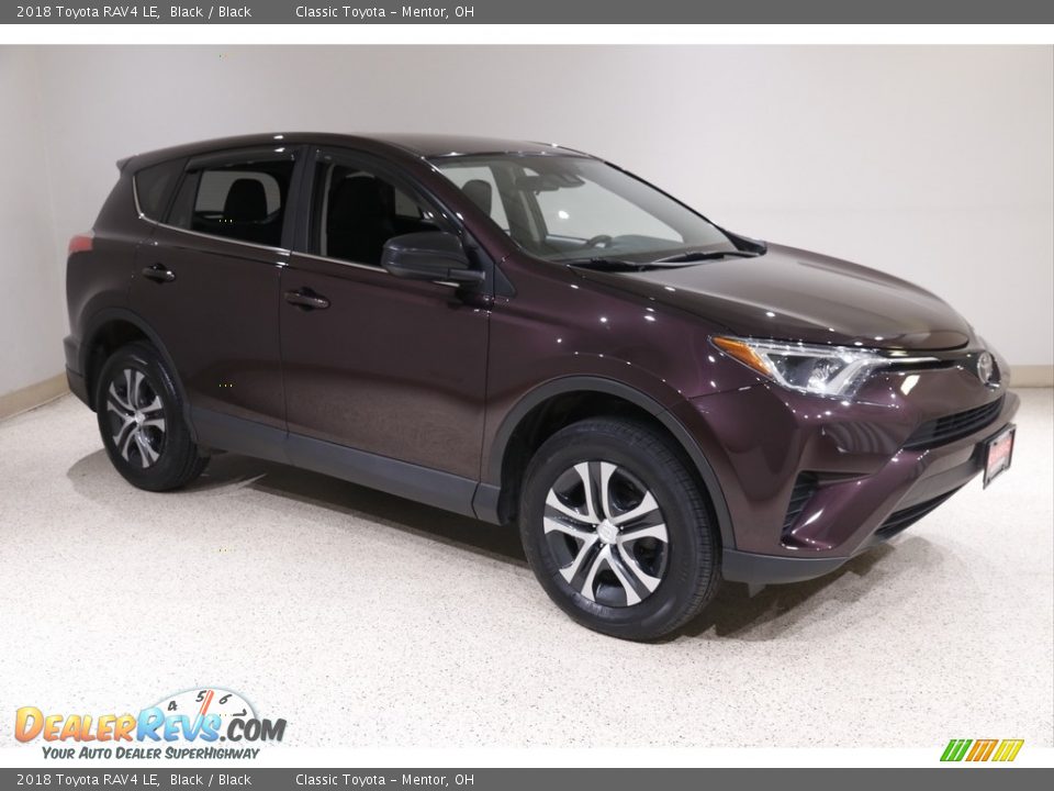2018 Toyota RAV4 LE Black / Black Photo #1