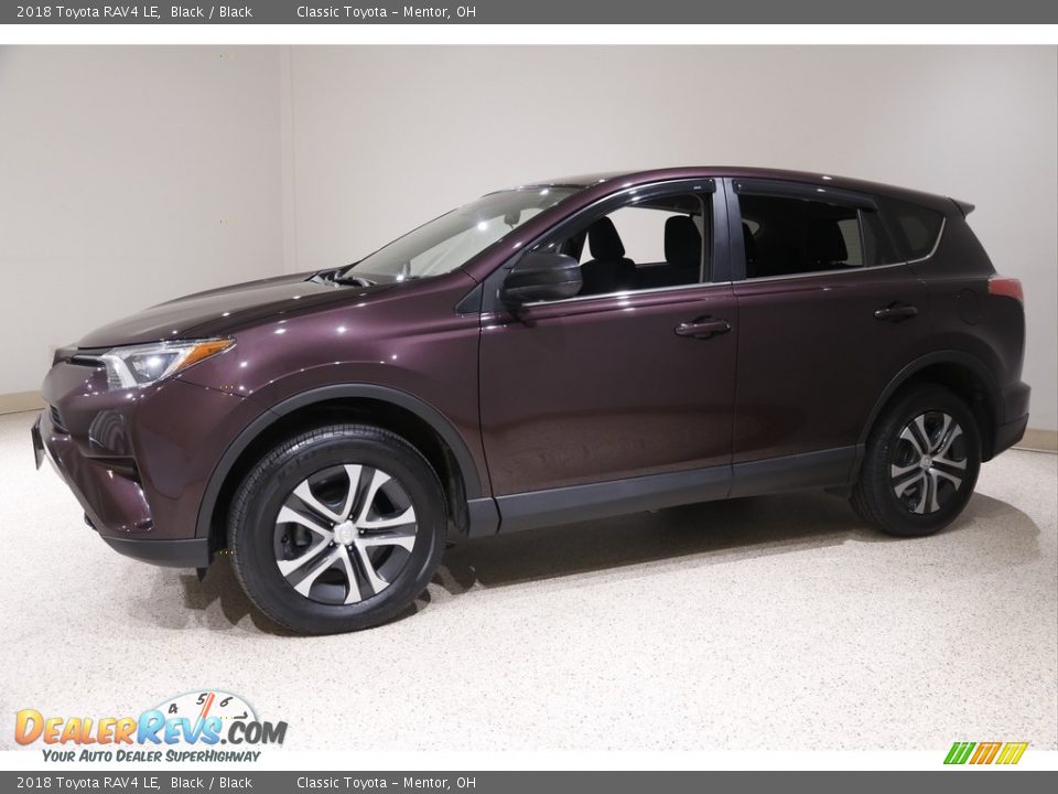 2018 Toyota RAV4 LE Black / Black Photo #3