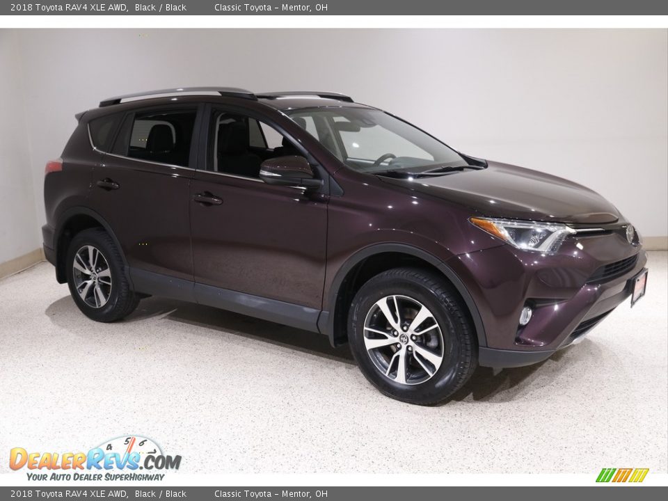 2018 Toyota RAV4 XLE AWD Black / Black Photo #1