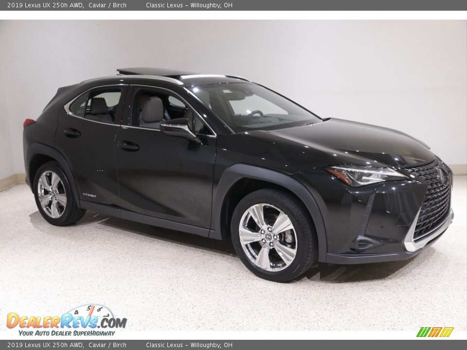 2019 Lexus UX 250h AWD Caviar / Birch Photo #1