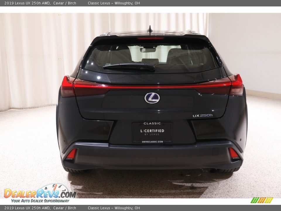 2019 Lexus UX 250h AWD Caviar / Birch Photo #19