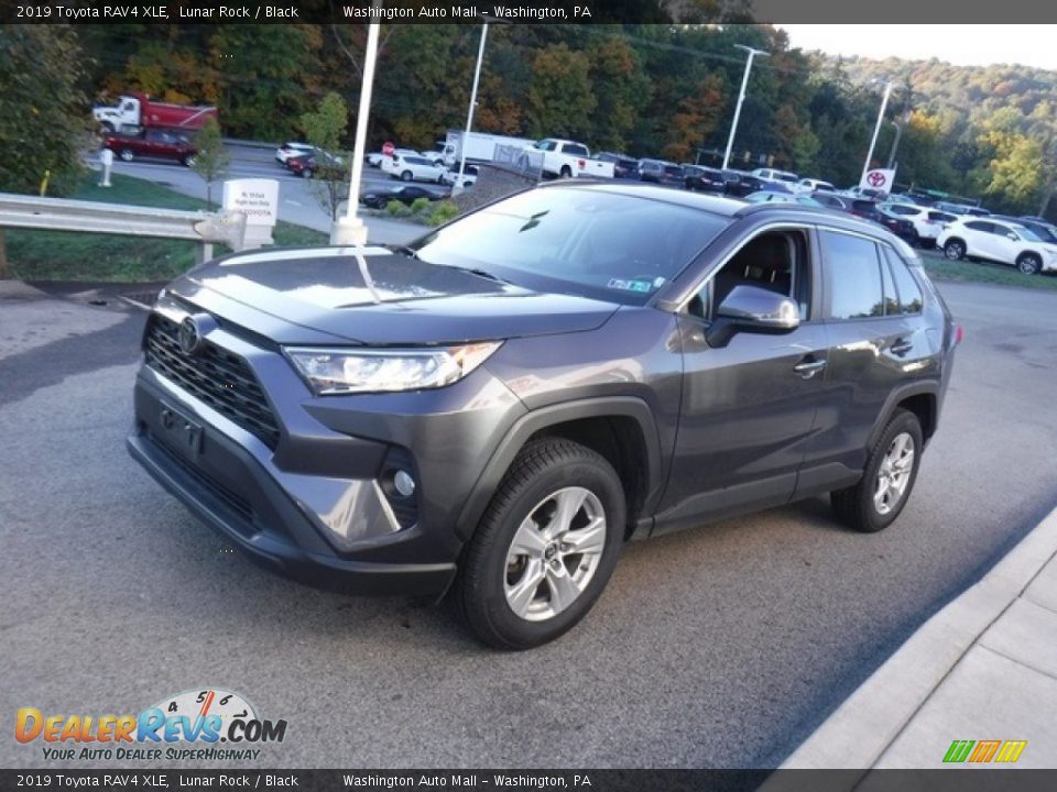 2019 Toyota RAV4 XLE Lunar Rock / Black Photo #11