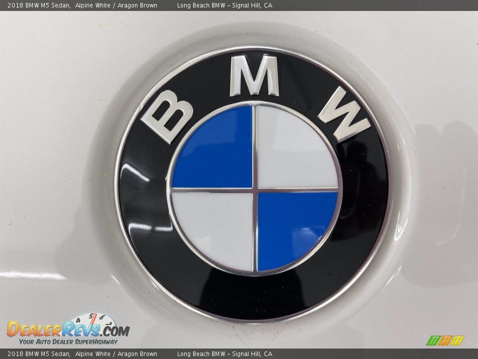 2018 BMW M5 Sedan Alpine White / Aragon Brown Photo #8