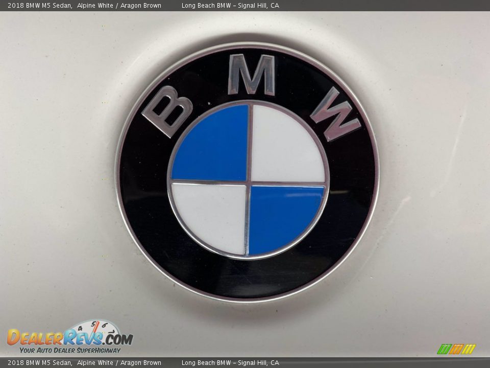 2018 BMW M5 Sedan Alpine White / Aragon Brown Photo #10