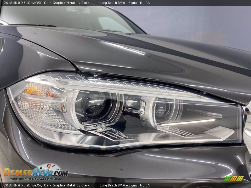 2018 BMW X5 sDrive35i Dark Graphite Metallic / Black Photo #7