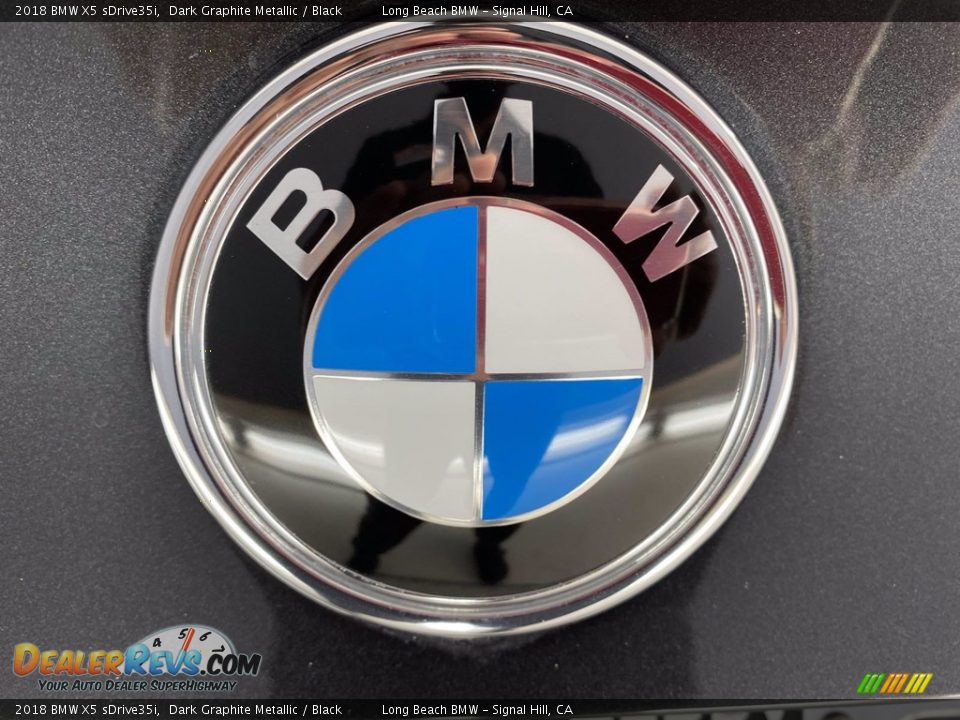 2018 BMW X5 sDrive35i Dark Graphite Metallic / Black Photo #10