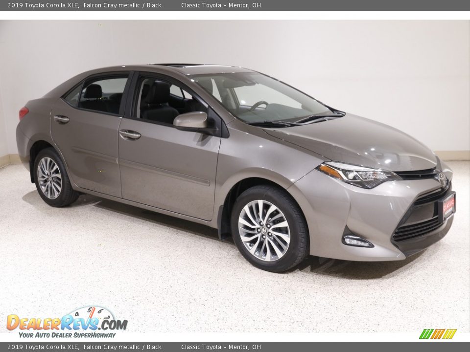2019 Toyota Corolla XLE Falcon Gray metallic / Black Photo #1
