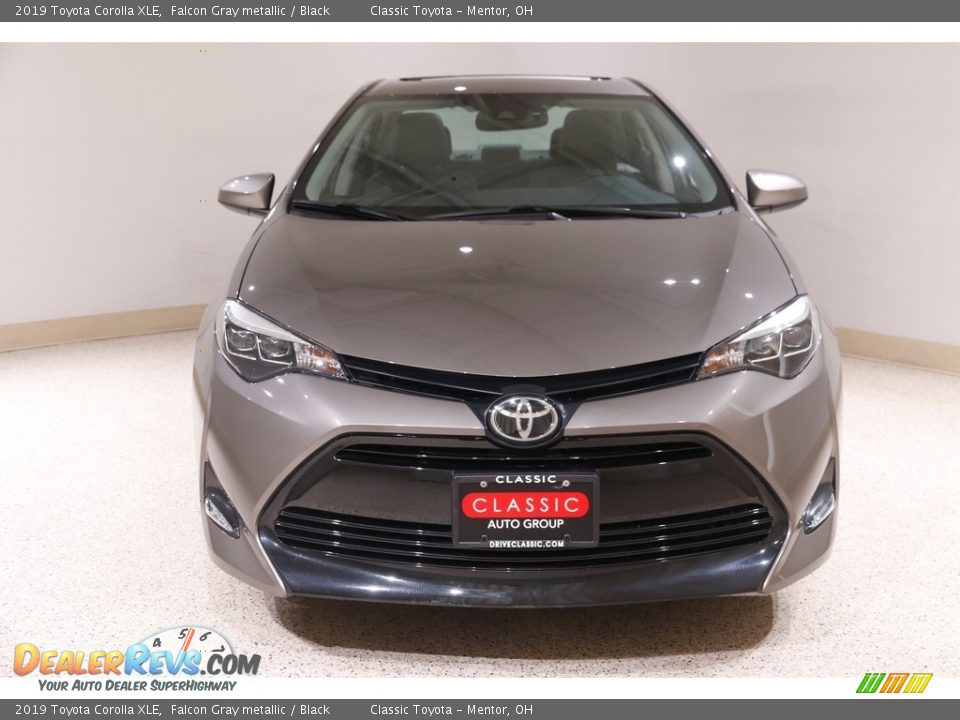2019 Toyota Corolla XLE Falcon Gray metallic / Black Photo #2