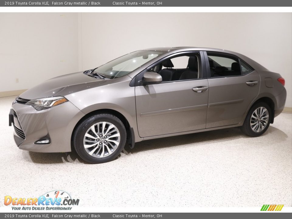 2019 Toyota Corolla XLE Falcon Gray metallic / Black Photo #3