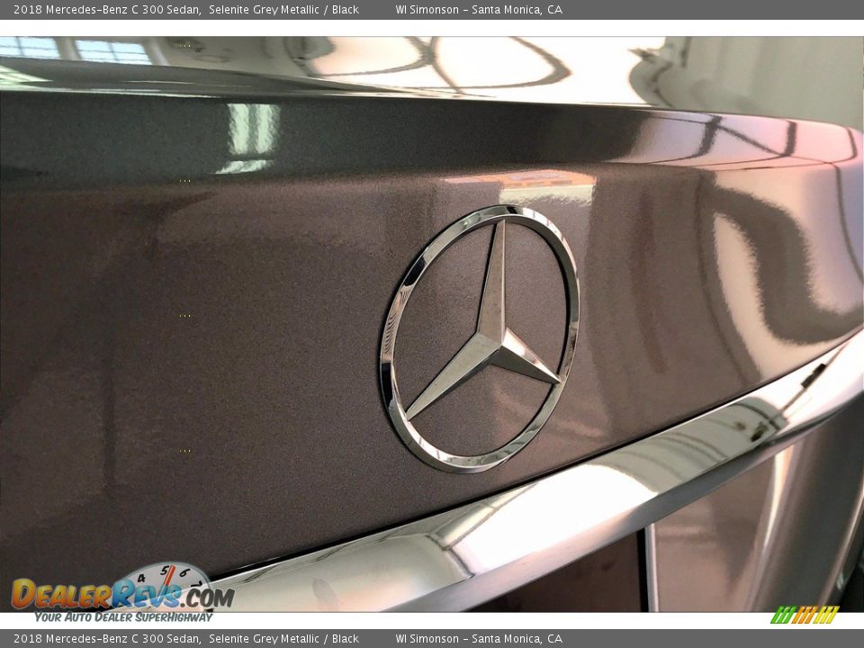 2018 Mercedes-Benz C 300 Sedan Selenite Grey Metallic / Black Photo #7