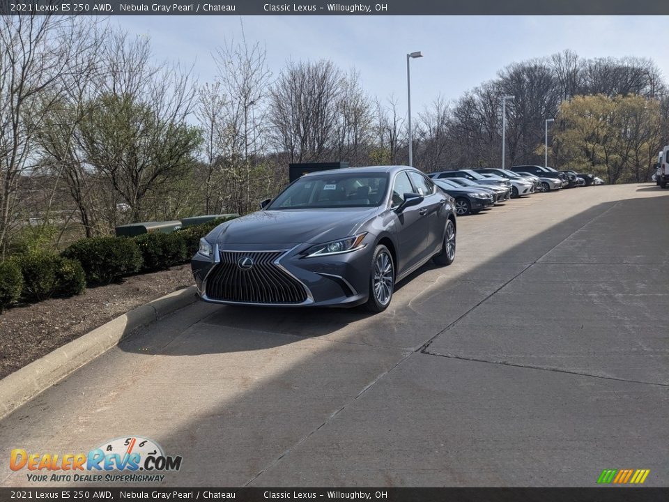 2021 Lexus ES 250 AWD Nebula Gray Pearl / Chateau Photo #4