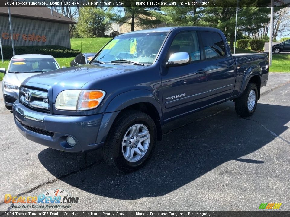 2004 Toyota Tundra SR5 Double Cab 4x4 Blue Marlin Pearl / Gray Photo #2