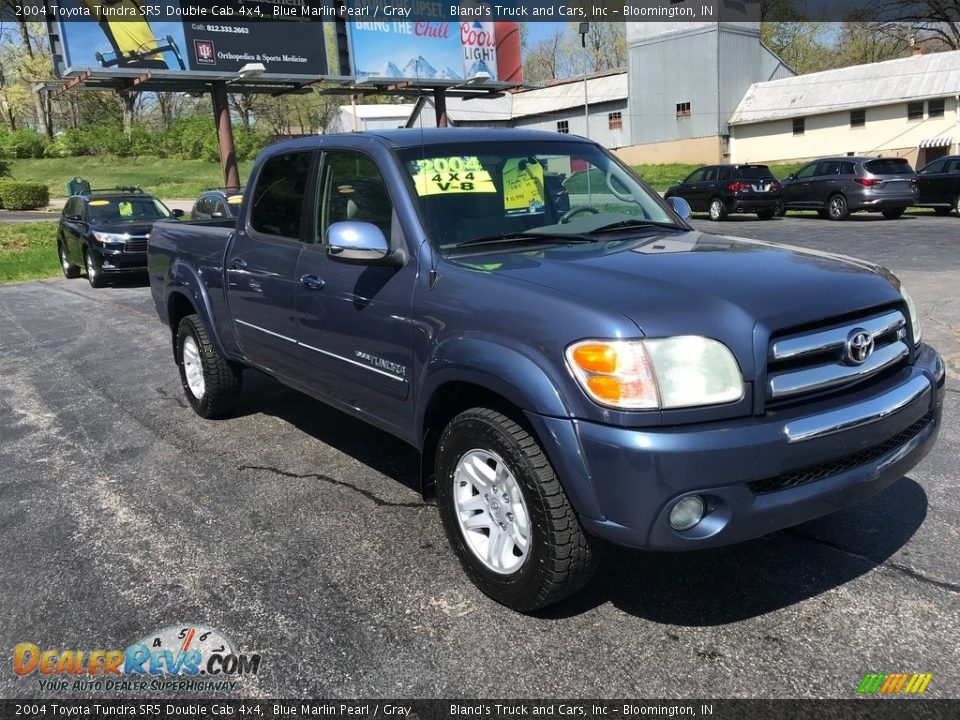 2004 Toyota Tundra SR5 Double Cab 4x4 Blue Marlin Pearl / Gray Photo #4