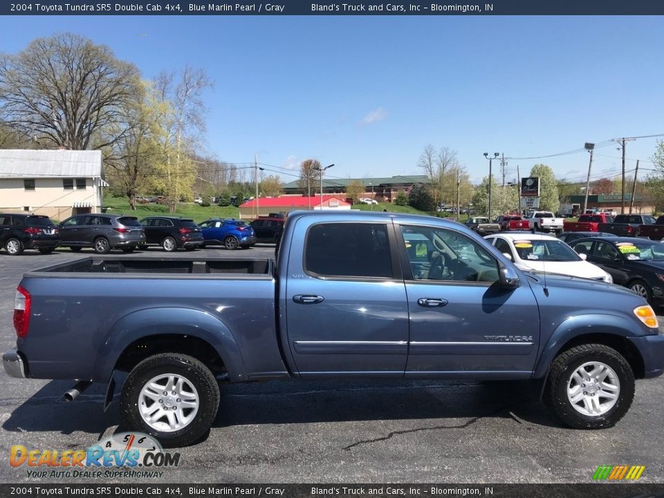 2004 Toyota Tundra SR5 Double Cab 4x4 Blue Marlin Pearl / Gray Photo #6