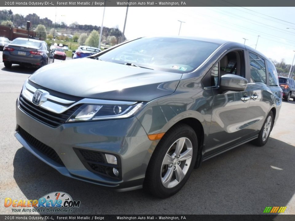 2018 Honda Odyssey EX-L Forest Mist Metallic / Beige Photo #6