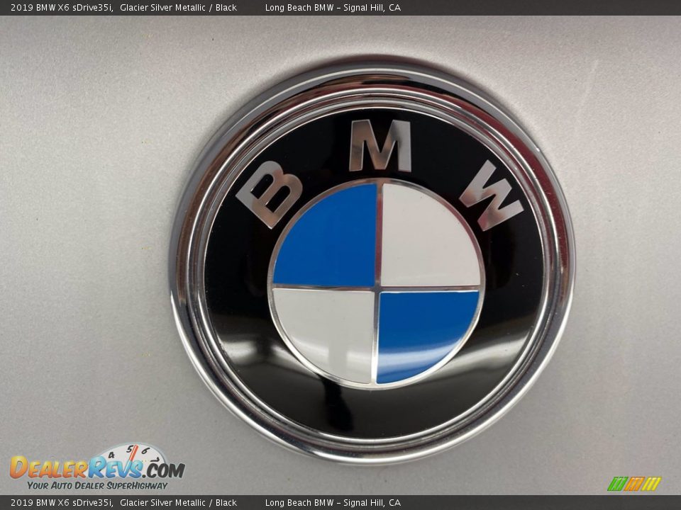 2019 BMW X6 sDrive35i Glacier Silver Metallic / Black Photo #10
