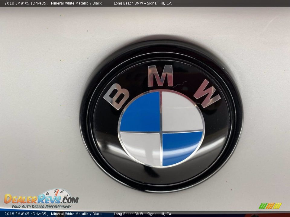 2018 BMW X5 sDrive35i Mineral White Metallic / Black Photo #10
