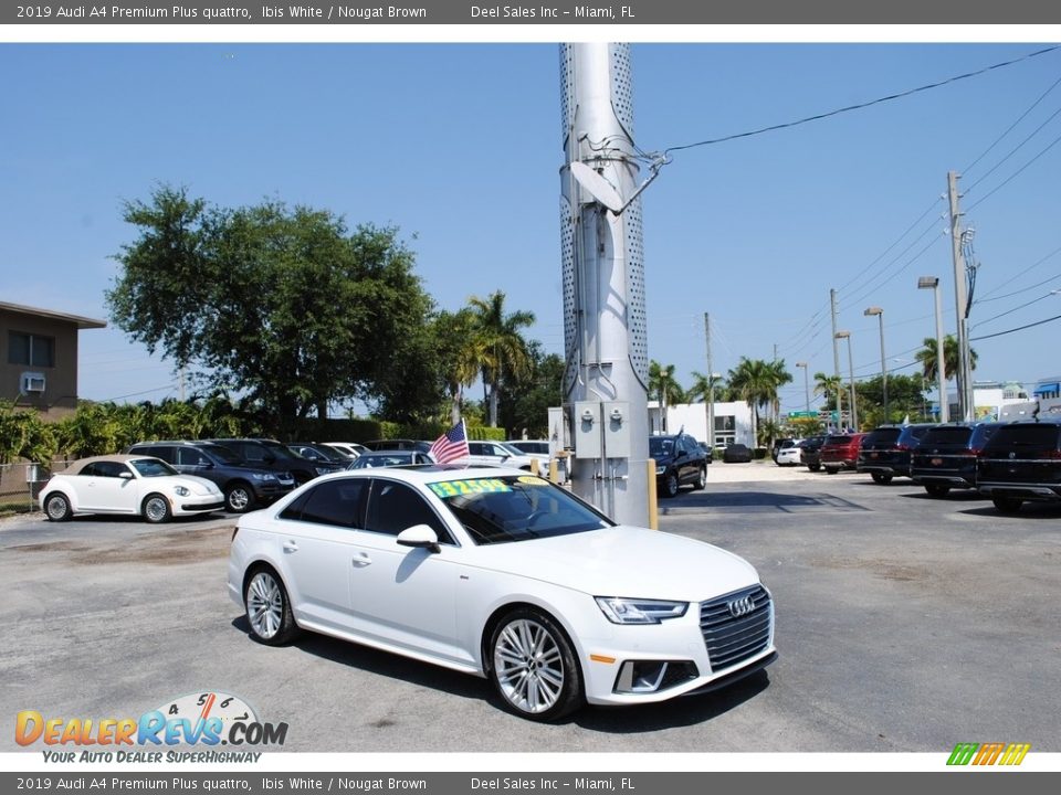 2019 Audi A4 Premium Plus quattro Ibis White / Nougat Brown Photo #1