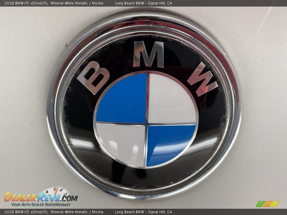 2018 BMW X5 xDrive35i Mineral White Metallic / Mocha Photo #10