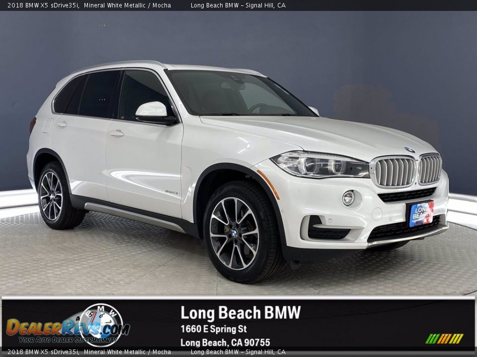 2018 BMW X5 sDrive35i Mineral White Metallic / Mocha Photo #1