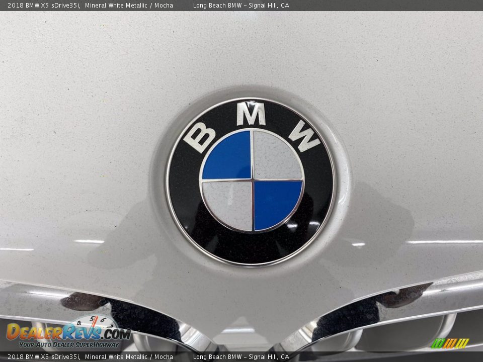 2018 BMW X5 sDrive35i Mineral White Metallic / Mocha Photo #8