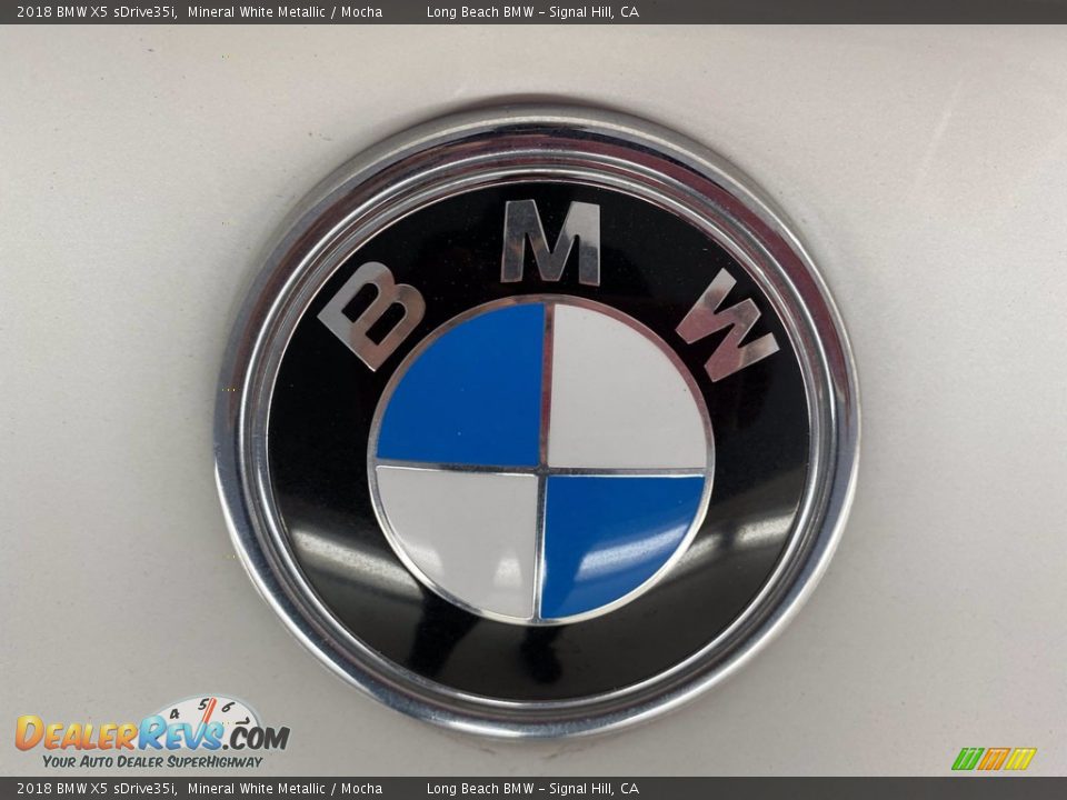 2018 BMW X5 sDrive35i Mineral White Metallic / Mocha Photo #10