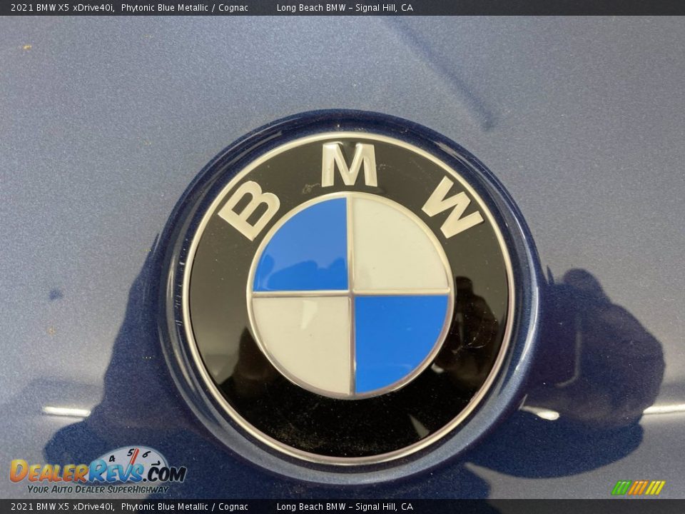 2021 BMW X5 xDrive40i Phytonic Blue Metallic / Cognac Photo #5
