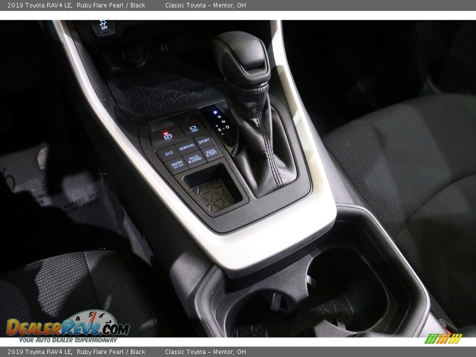 2019 Toyota RAV4 LE Ruby Flare Pearl / Black Photo #11