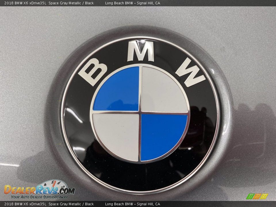 2018 BMW X6 xDrive35i Space Gray Metallic / Black Photo #8